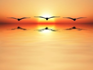 Image courtesy of dan at FreeDigitalPhotos.net